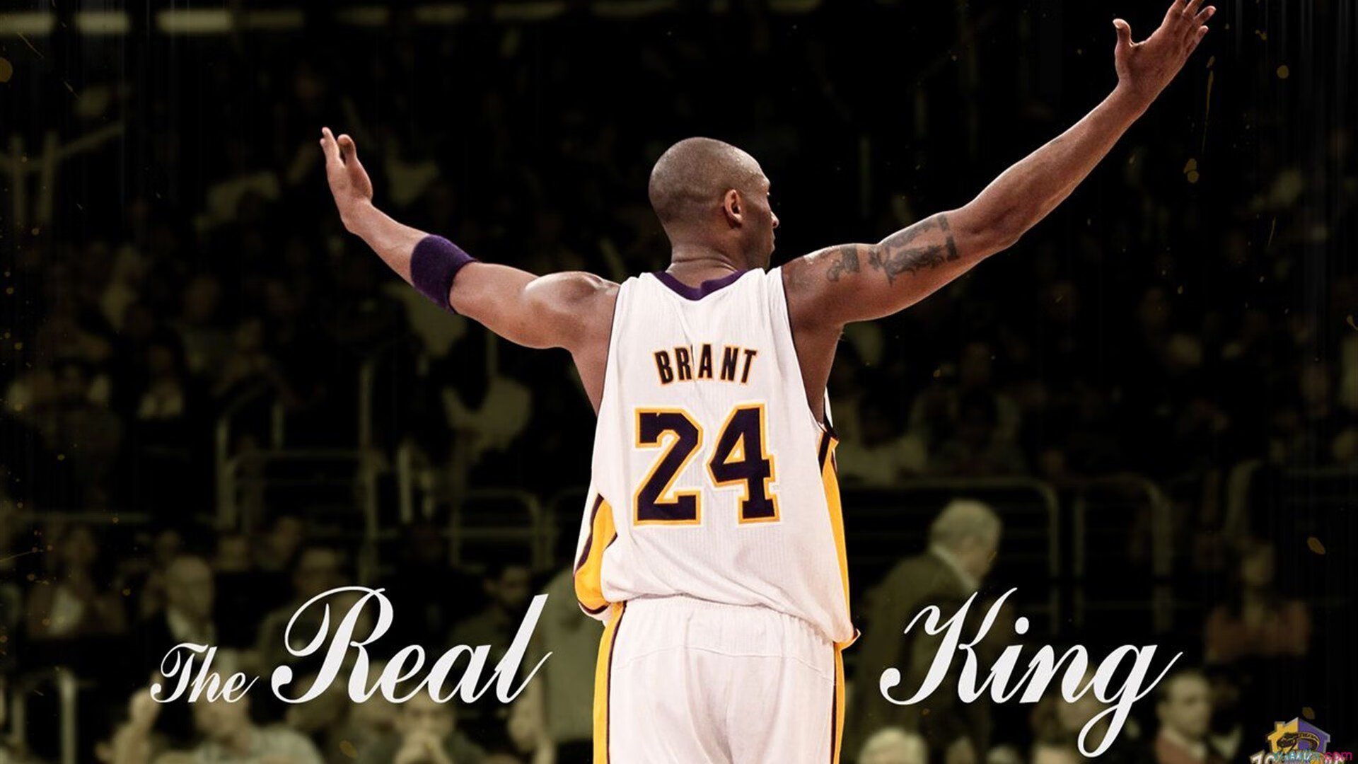 v5为什么不上karsa